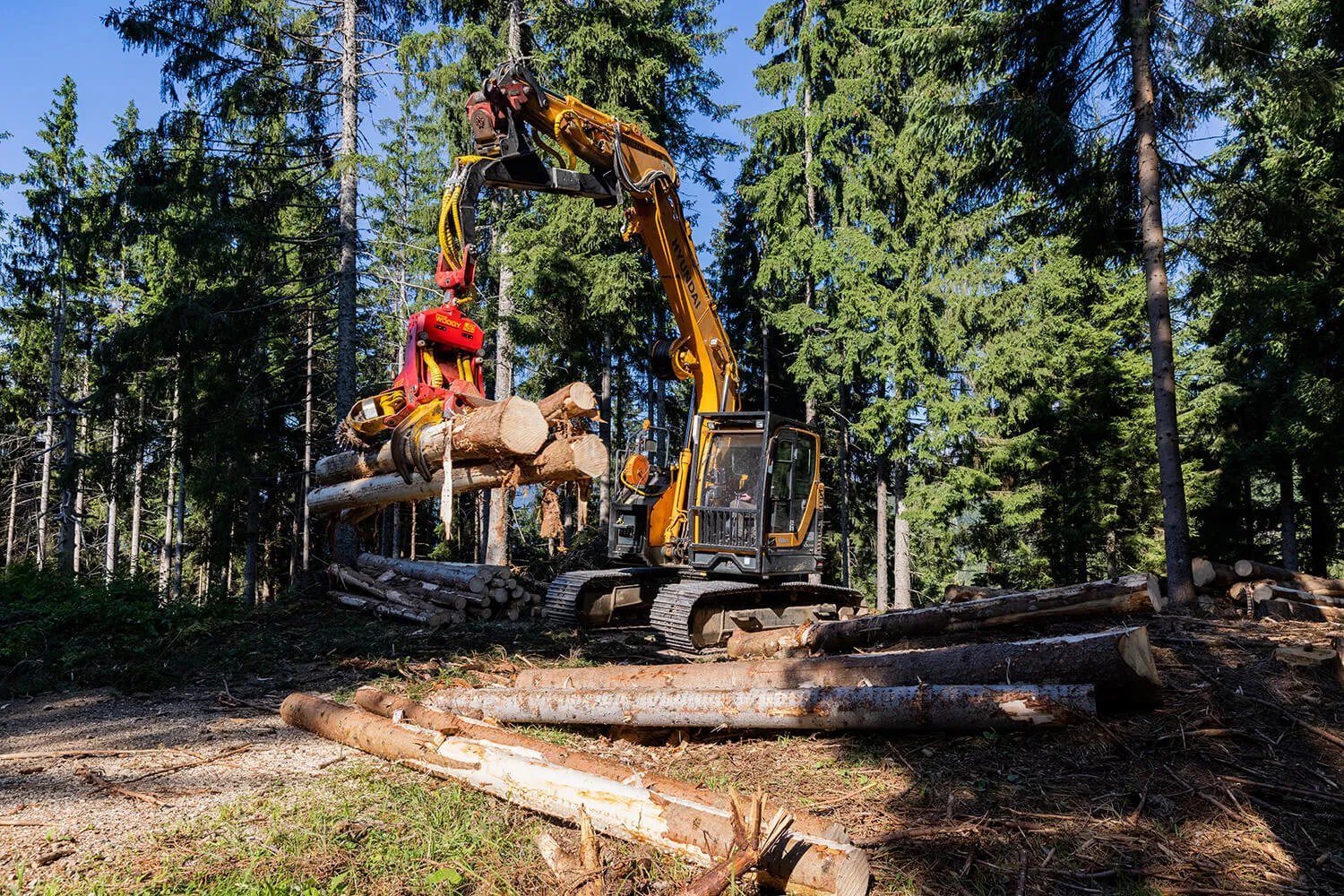 Konrad Woody WH50-1 Harvester Head