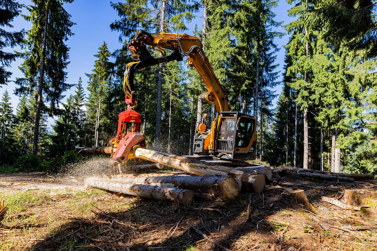 Konrad Woody WH50-1 Harvester Head