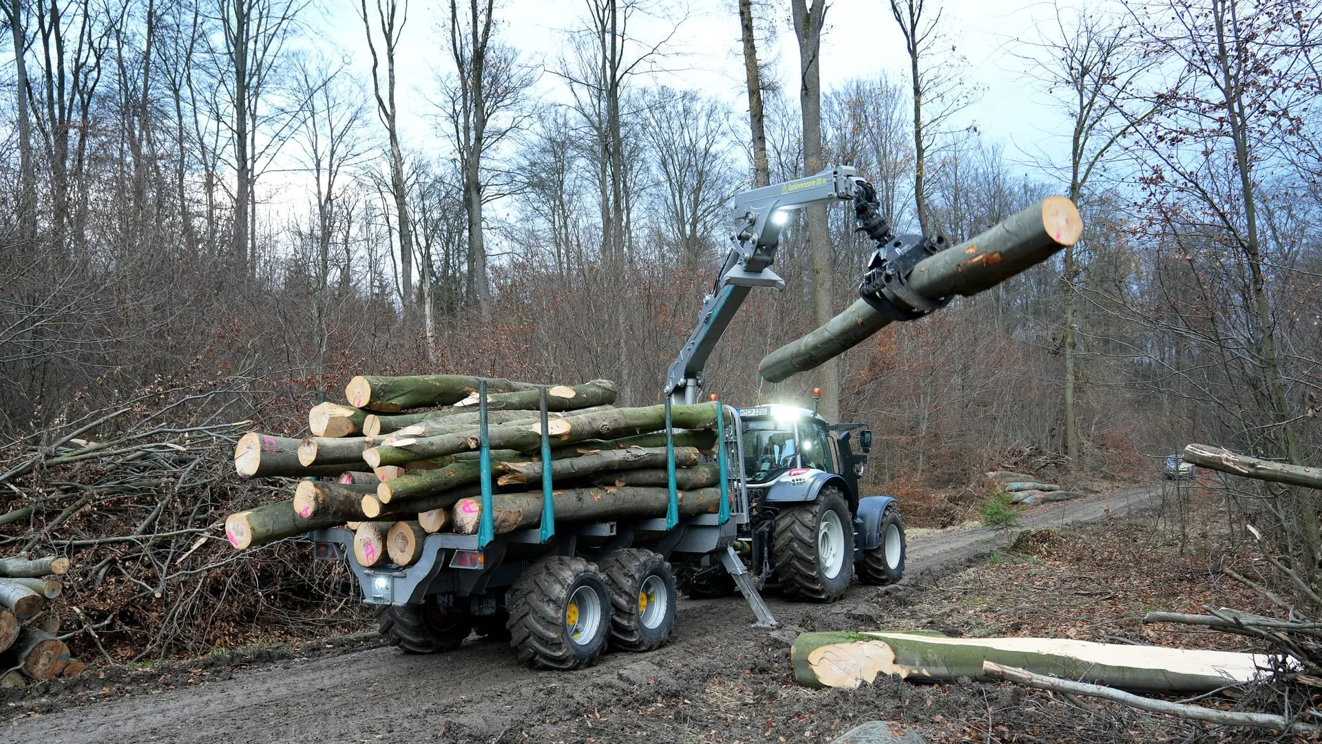 Pfanzelt logLINE Forwarding Trailers