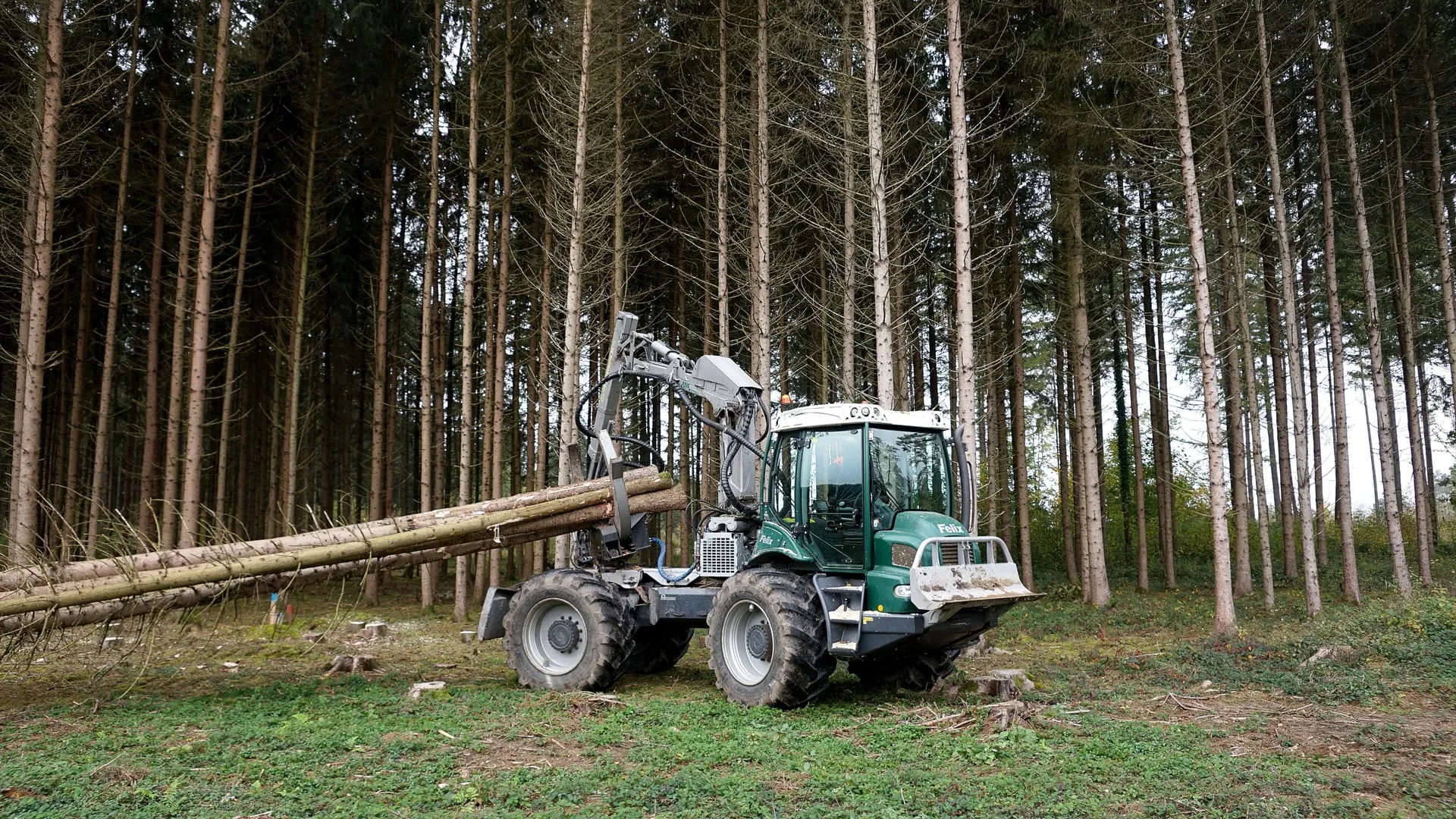 Pfanzelt Felix 208.5 4WD skidding long timber in a spruce forest