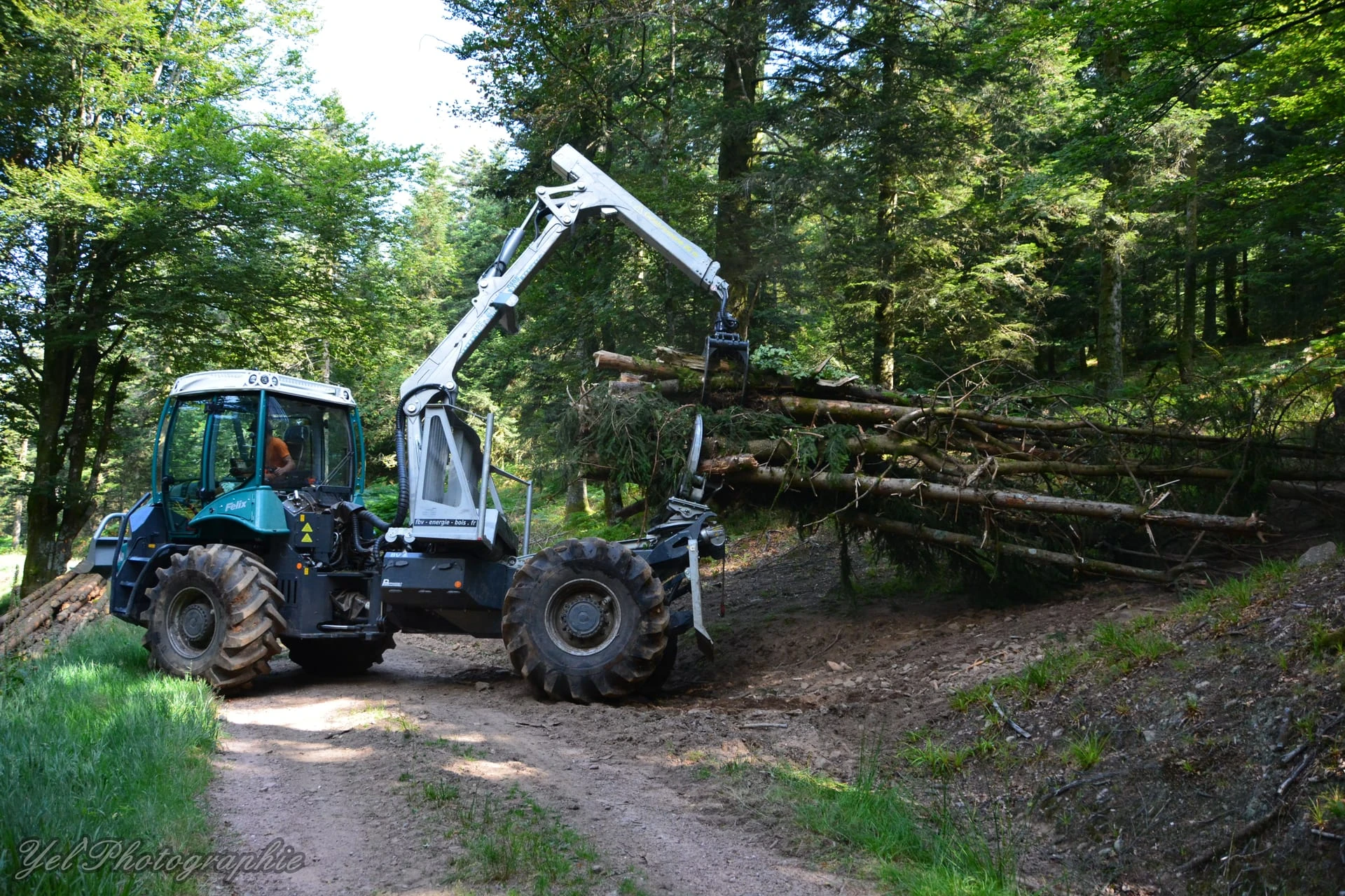 Pfanzelt Felix Specialist Forestry Tractor