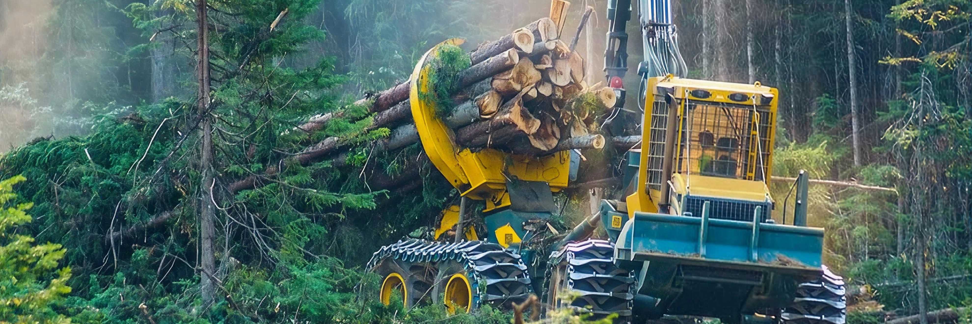 HSM 208F 20 t Forwarder