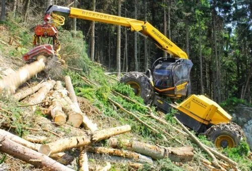 Konrad Highlander harvester felling on a steep forest slope