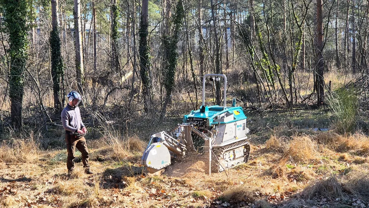 Pfanzelt Moritz with the stump grinder on the MAX forestry mulcher